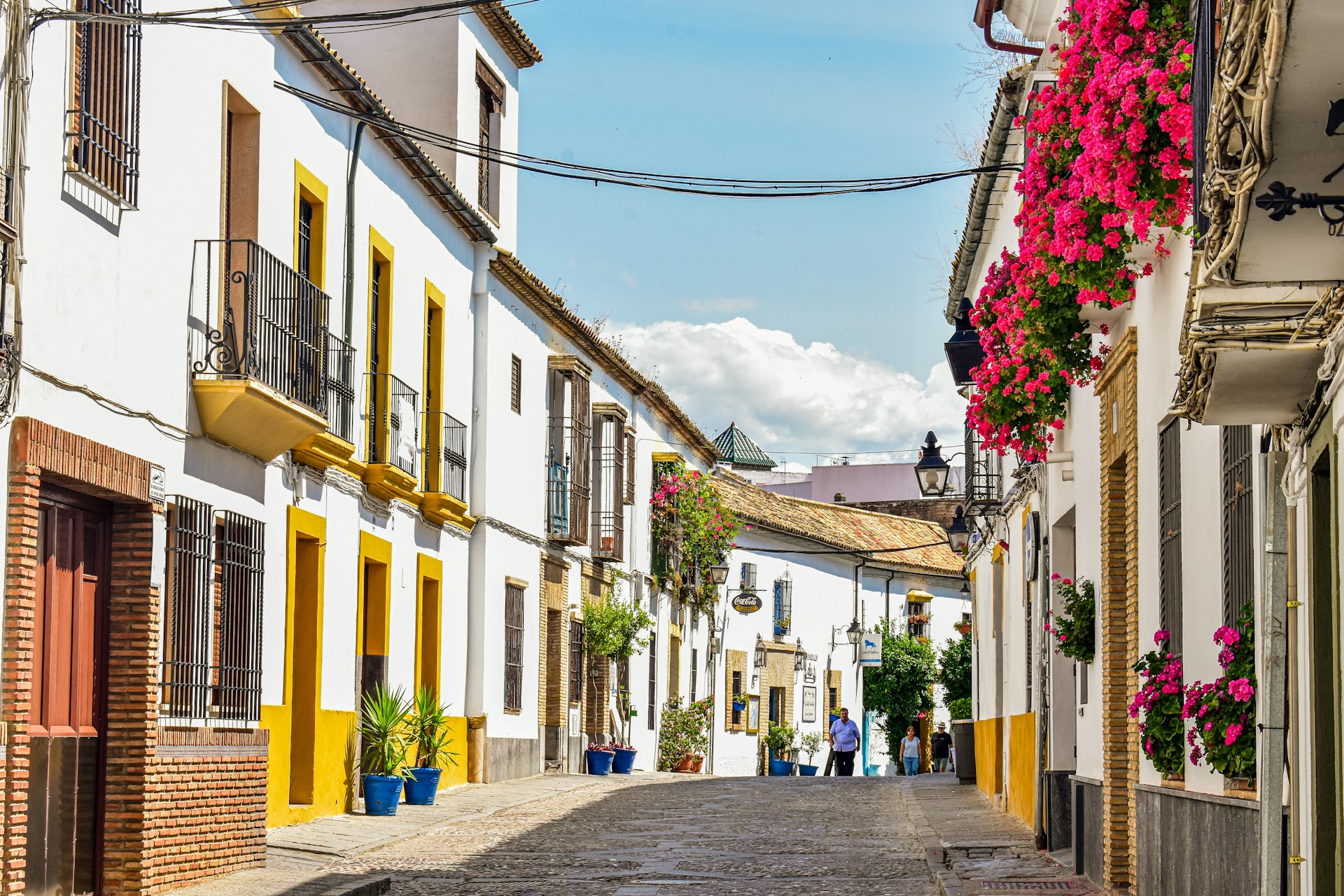 百花巷 Calleja de las Flores