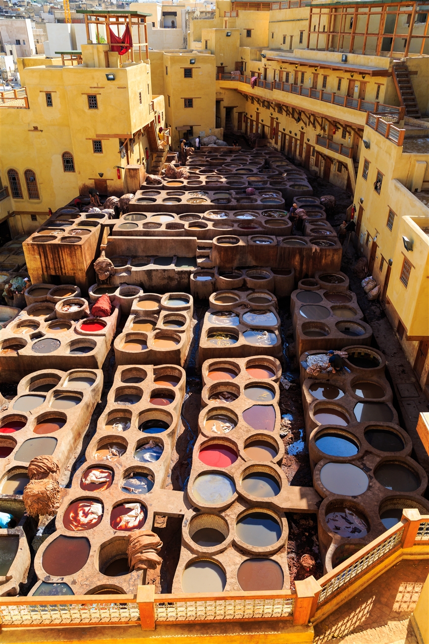菲斯皮革染坊 Chouara Tanneries