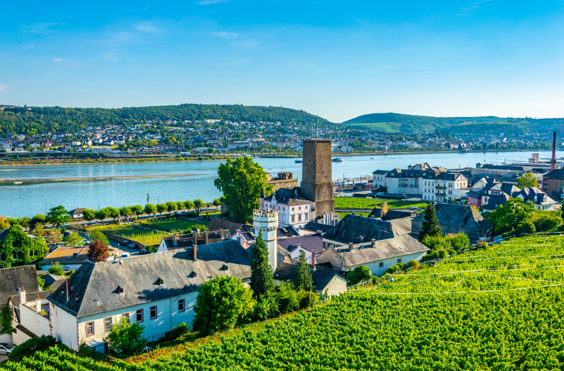 呂德斯海姆 Rüdesheim am Rhein