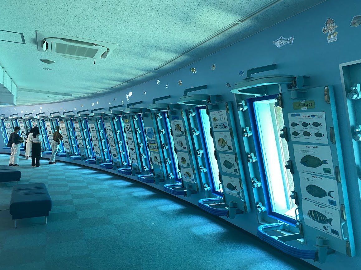 參考景點：宮古島海中公園