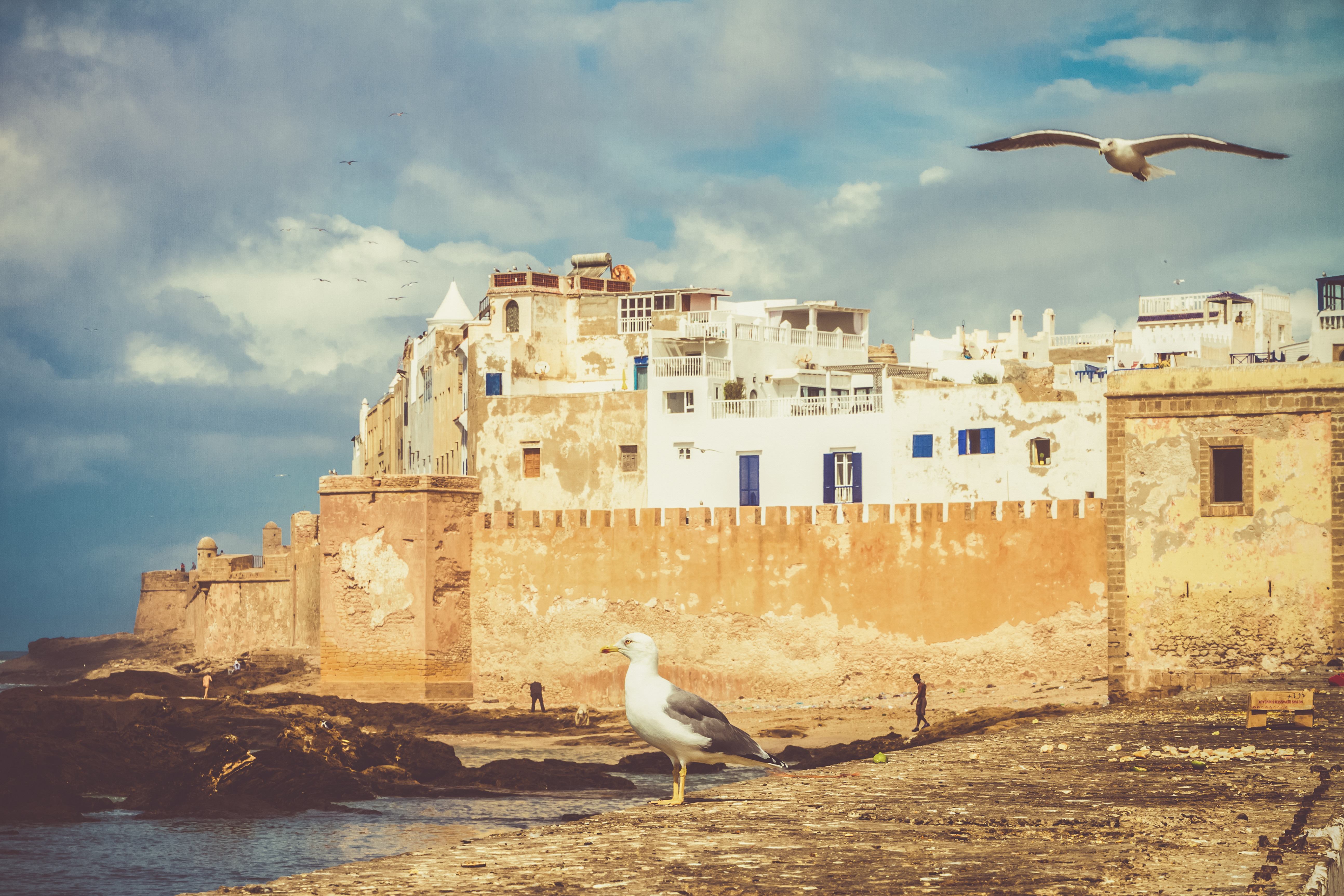 艾索維拉 Essaouira
