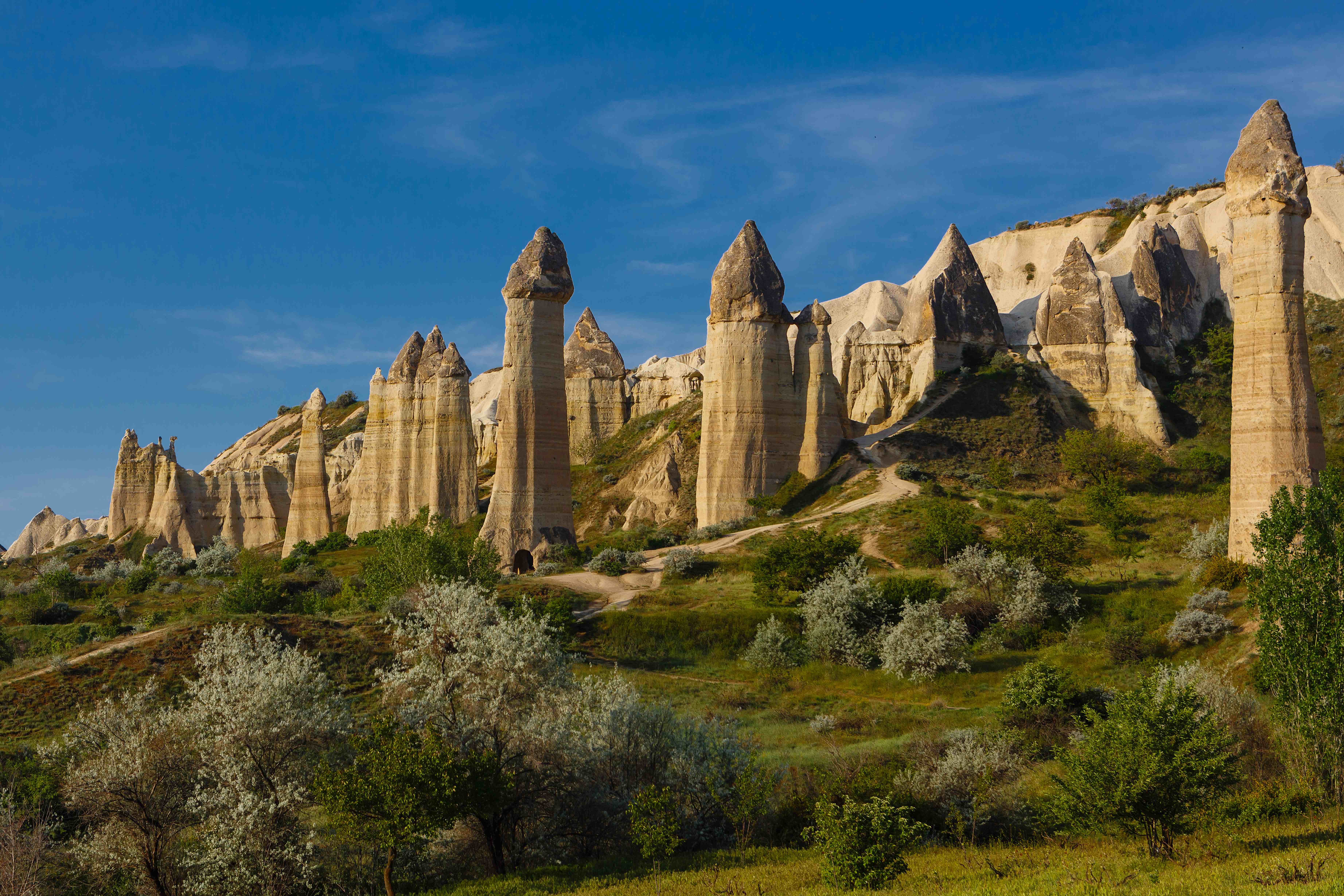 帕夏貝博物館 (蘑菇岩)