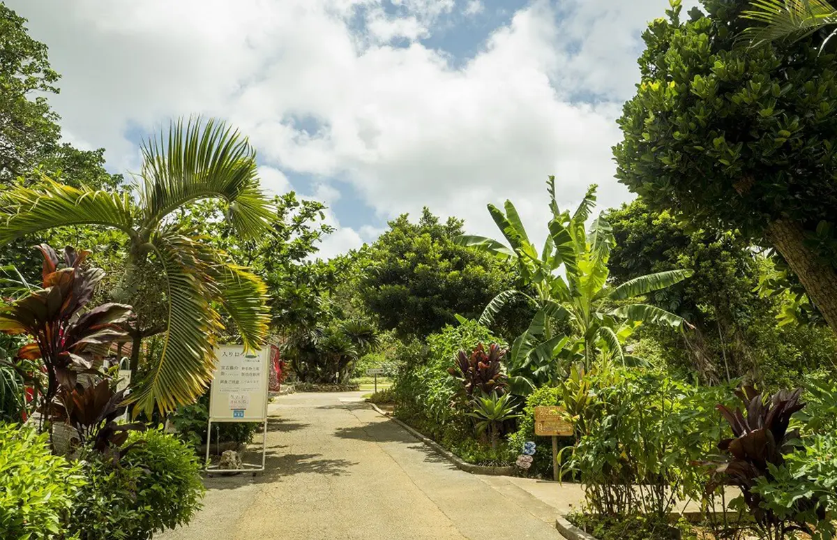 參考景點：熱帶植物園