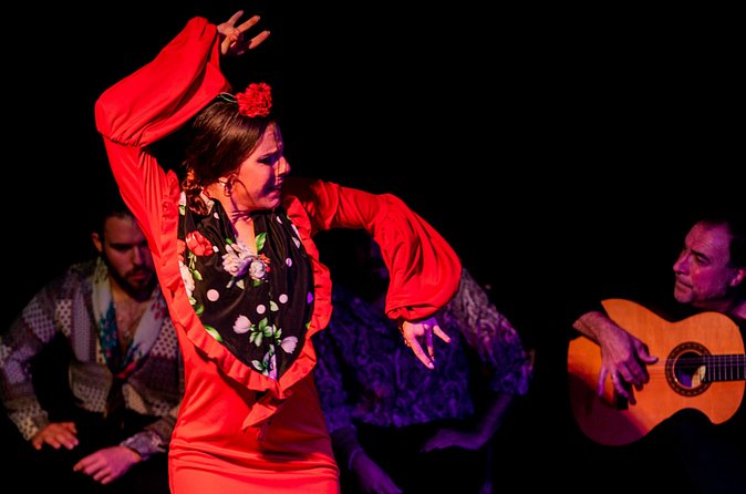 佛朗明歌舞 Flamenco Show