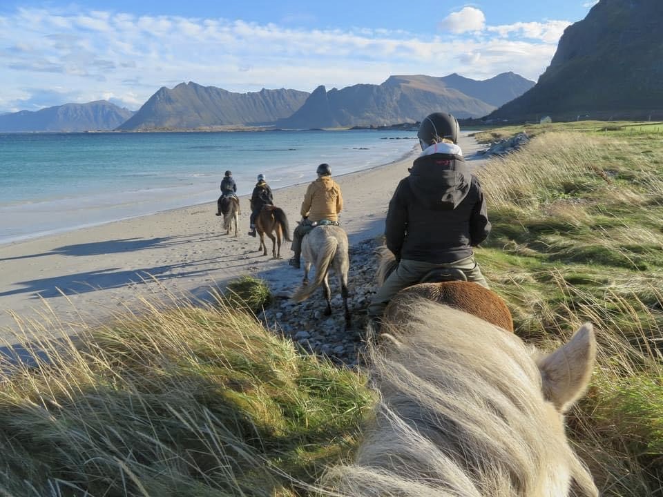 羅浮敦騎馬體驗 Horse Back Riding 