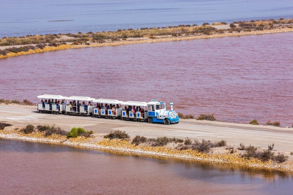 粉色鹽田漫遊小火車 Le Petit Train des Salins d'Aigues-Mortes