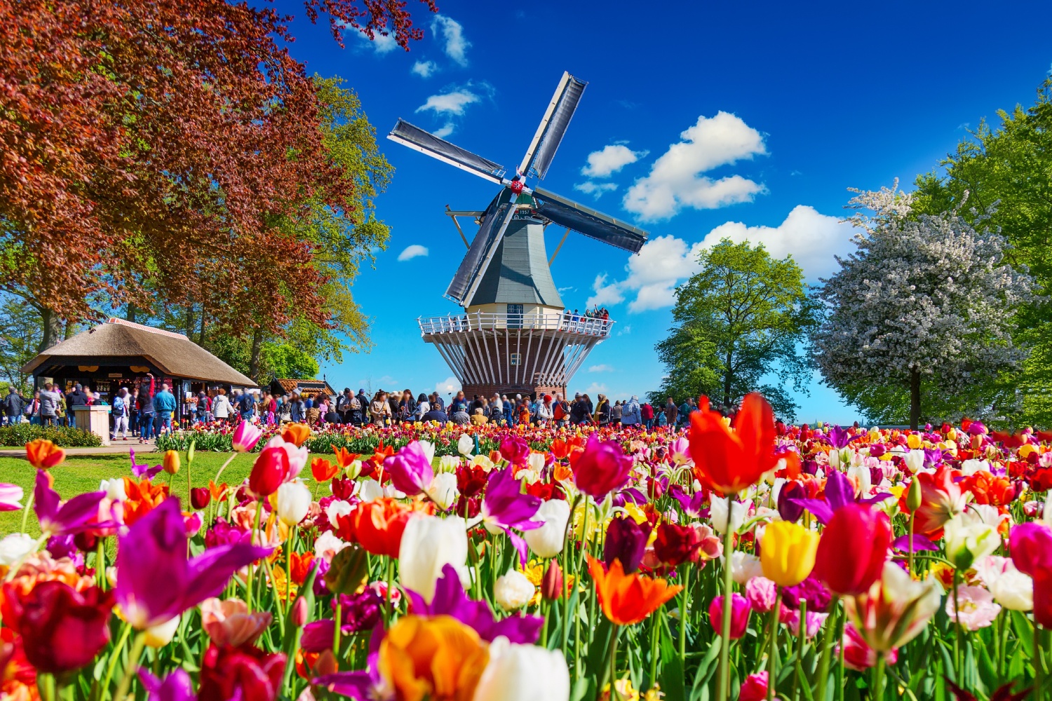 【免費講座】春遊歐心 花漾漫旅_高雄澄清場