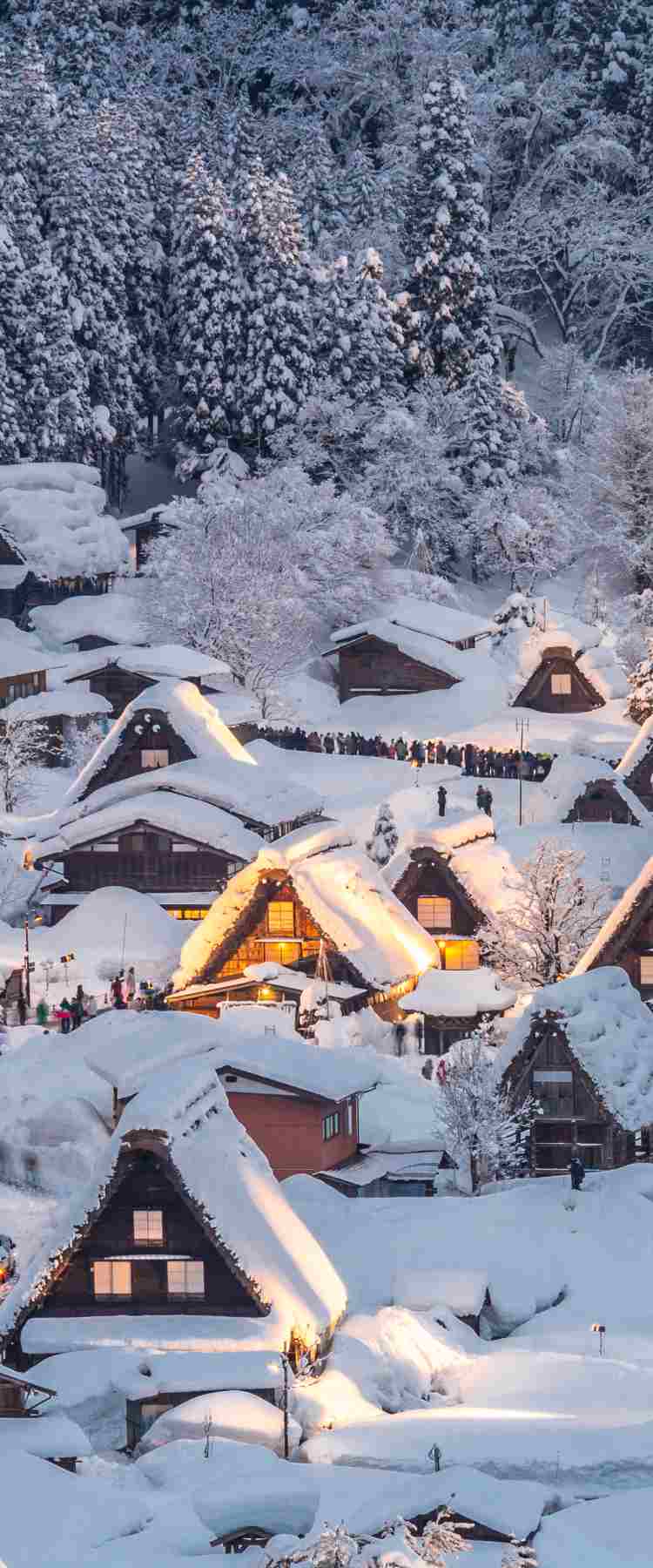 白川鄉點燈