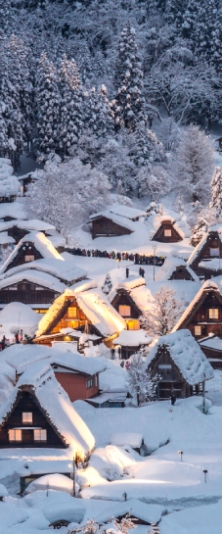 白川鄉夢幻點燈