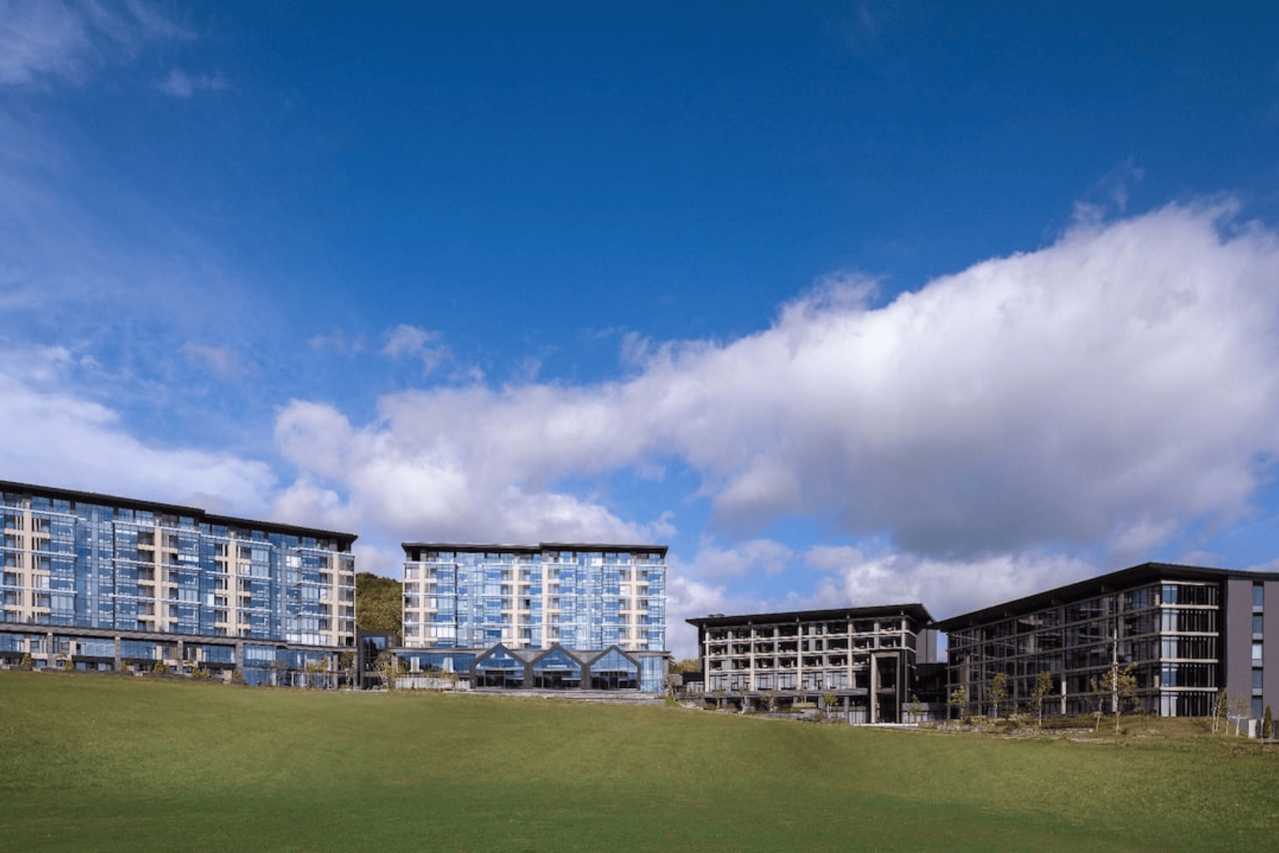 臻選北海道二世谷柏悅６日